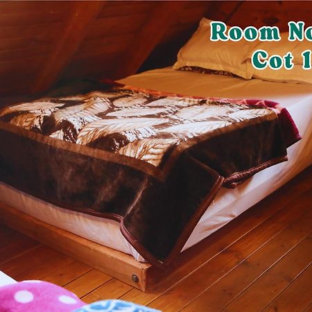 Villa Joy Eco Woodhouse - 5 Bhk House (Adults Only) Ooty Esterno foto
