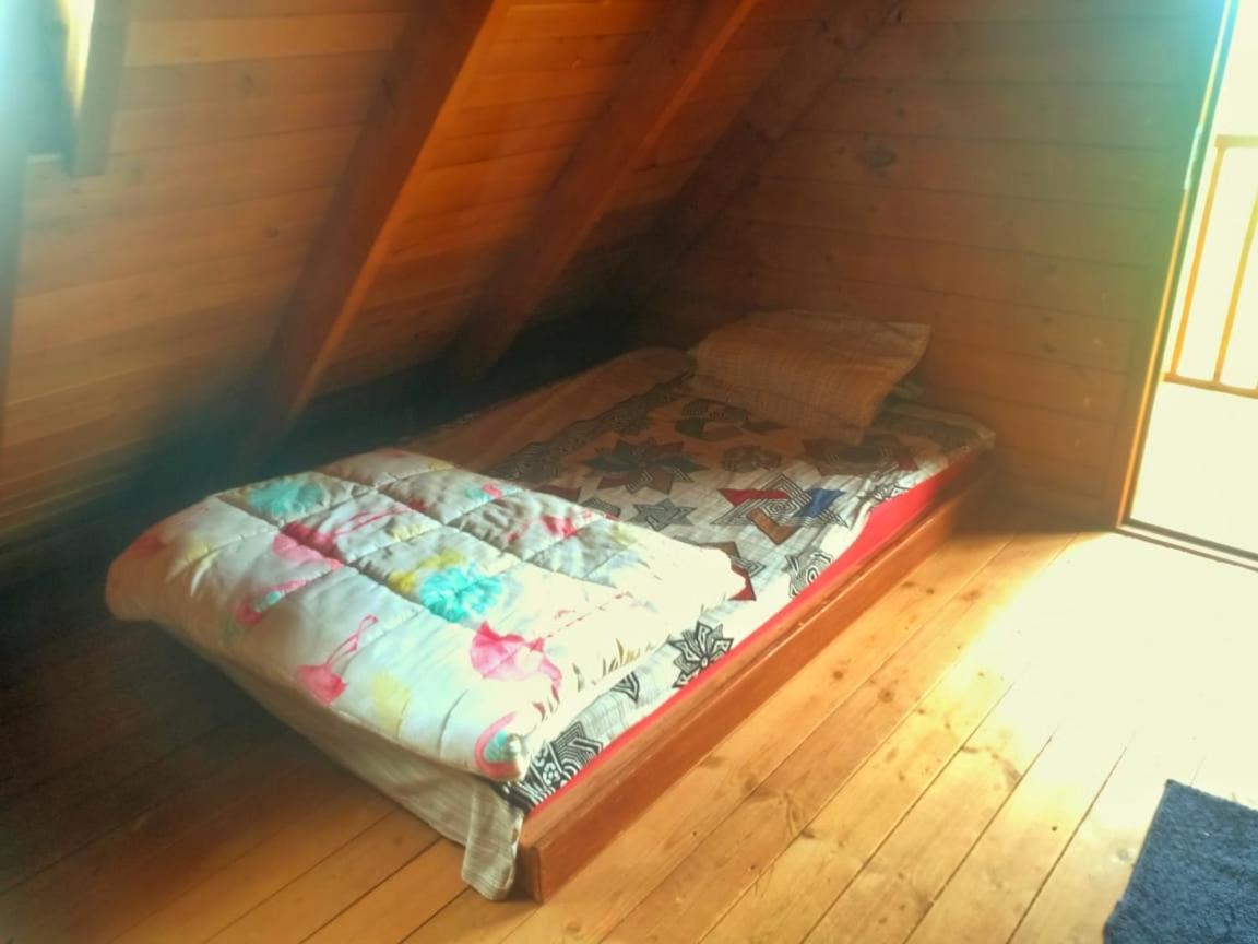 Villa Joy Eco Woodhouse - 5 Bhk House (Adults Only) Ooty Esterno foto